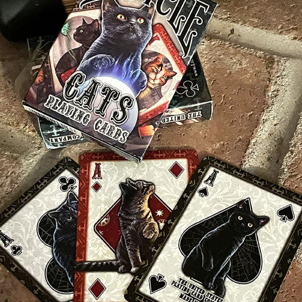 Baraja Bicycle Cats